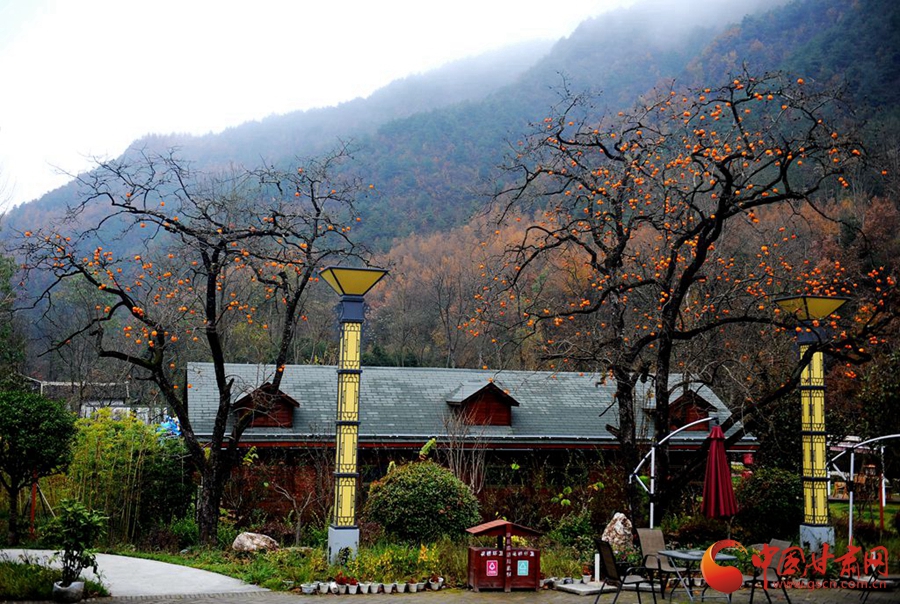 程】山水清韵花桥村 乡村旅游富民路尊龙凯时ag旗舰厅登陆【领航新征(图1)