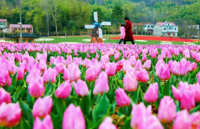 、花千谷、龙津溪地、绿野仙踪、踏青赏花二日游尊龙凯时人生就是博z6com茗阳温泉、西九华(图4)